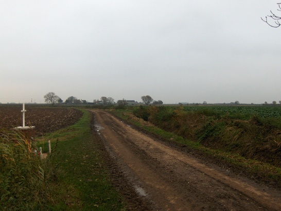 5d2264584f053 LI Bicker 6 547x410