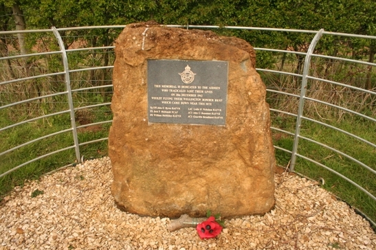 007  640x427  547x410