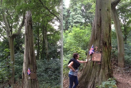 44 squadron lancaster iii me442 km v tree