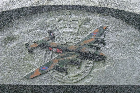 59fa2969427c1 DSCF7690 547x410