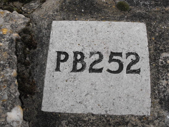 5da4d9373c008 DSCF0045 547x410