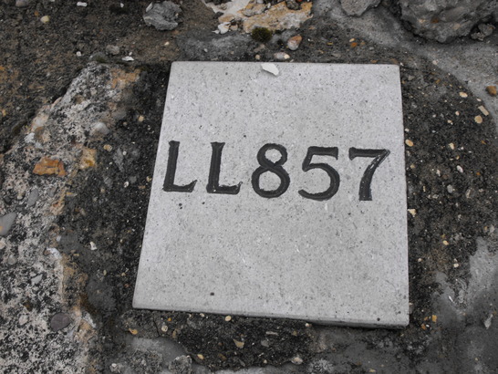 5da4dabcc54f3 DSCF0048 547x410