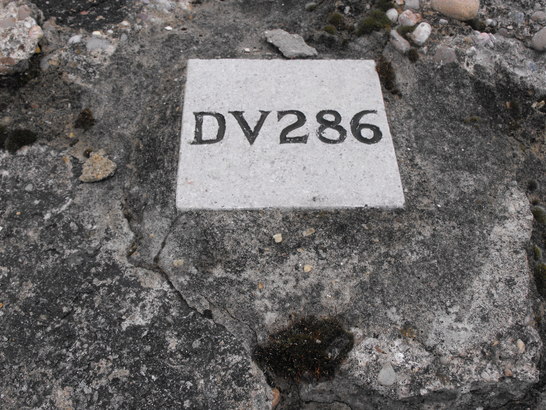 5da4dabf439e5 DSCF0051 547x410