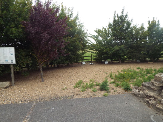 5da59f131ecd7 DSCF3377 547x410