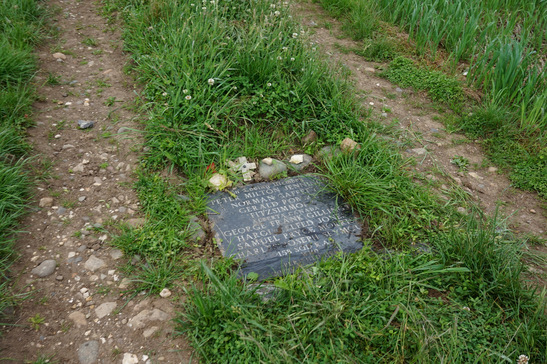 5b2019214be60 DSC03205 547x410