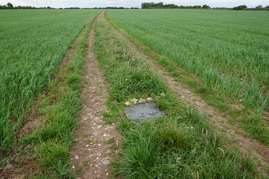 5b2019219b6a5 DSC03208 547x410