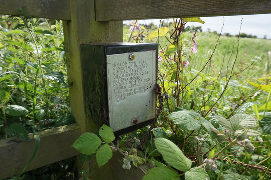 5b201991375f6 DSC03237 547x410