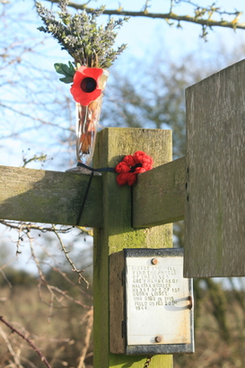 69750280c2ed5 IMG 8321 547x410