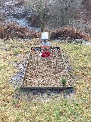 MundfordForest.Lanc .2 547x410