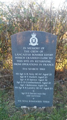 5bf1ba3656199 20181118 150554 547x410