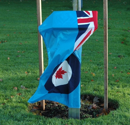 5a0733e7e9eb2 DSC 0021 547x410