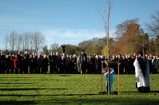 5a0733e86ed39 DSC 0073 547x410