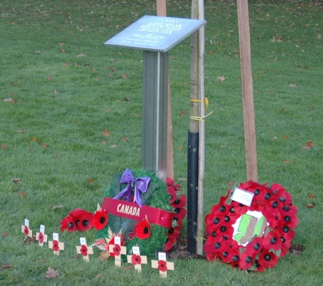 5a07350493a04 DSC 0176 547x410