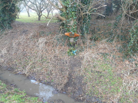 5d2b7ad5a176d LI Westborough 2 547x410