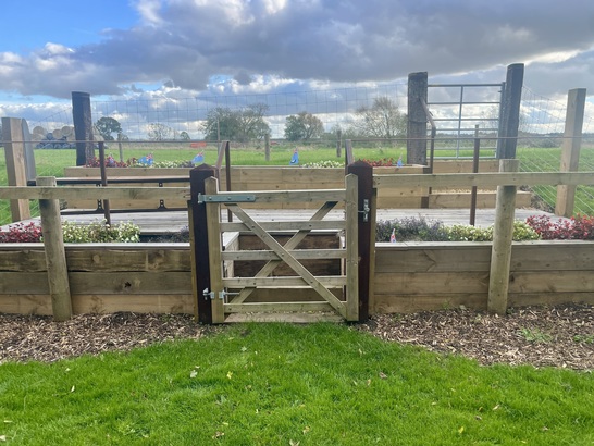 6717cd5e248ec IMG 3743 547x410